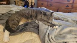 Boal Memorial Chapel in Barton Maryland