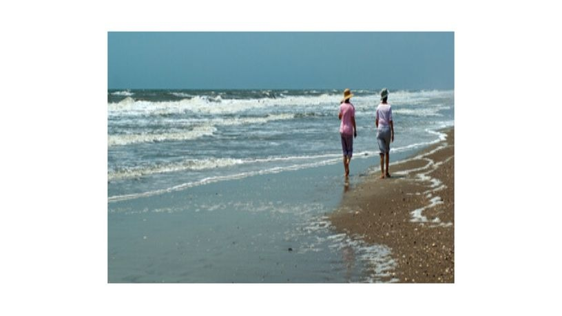 A1 Affordable Cremation building in Holly Hill, Florida