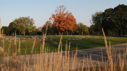 Acacia Park Cemetery & Crematory in Norridge Illinois