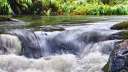 Angels Cremation & Burial in Mesa Arizona