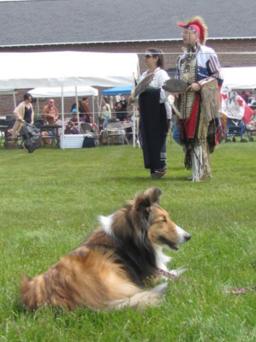 Animal Heaven building in Hollis, New Hampshire
