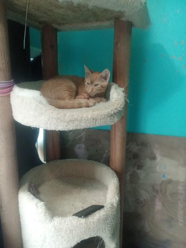 Anthony G. Staab Funeral Home in Pittsburgh Pennsylvania