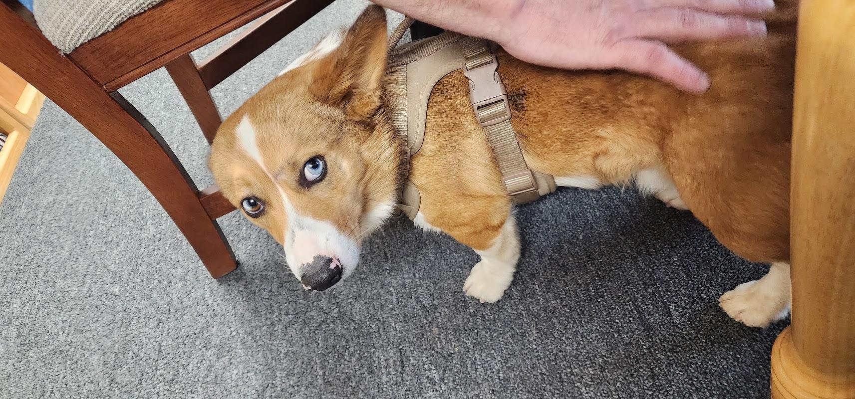 Autumn Funerals in Bend Oregon