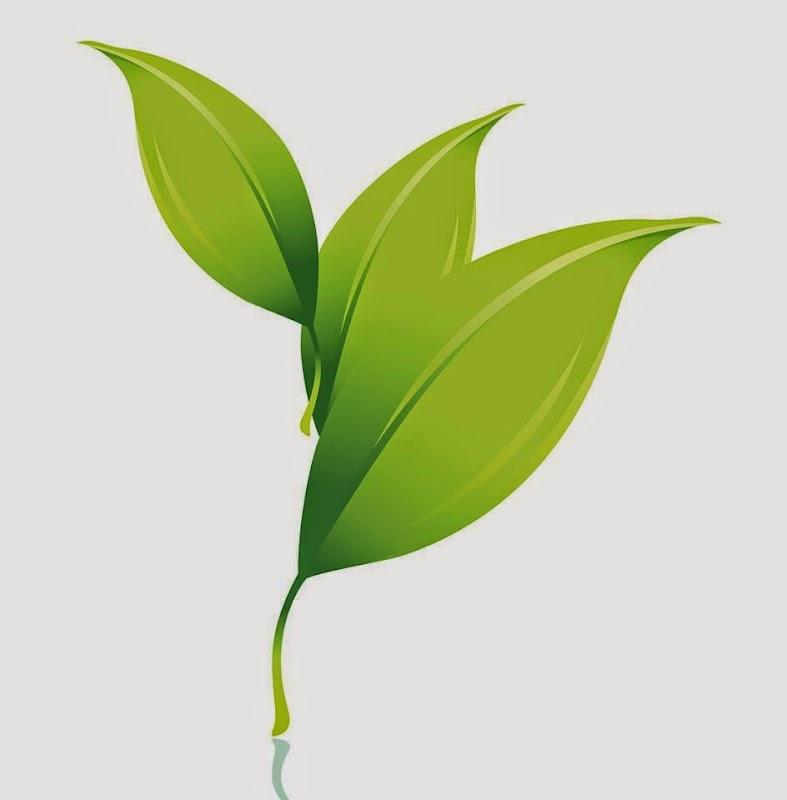 Ayres Family Cremation building in Eureka, California