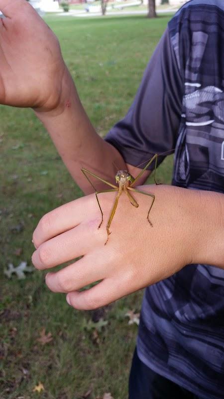 Bentley Funeral Homes in Durant Iowa