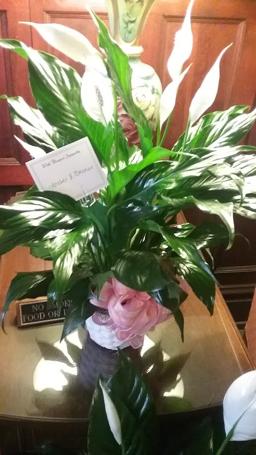 BowenDonaldson Home For Funerals in Tifton Georgia