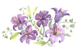 Bridges Cremation Service Simple Traditions building in Carmichael, California