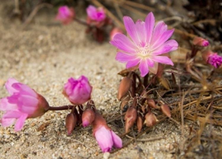 Brothers Mortuary & Crematory in Hamilton Montana