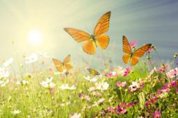 Canale-Gwinn Funeral Home building in Gwinn, Michigan