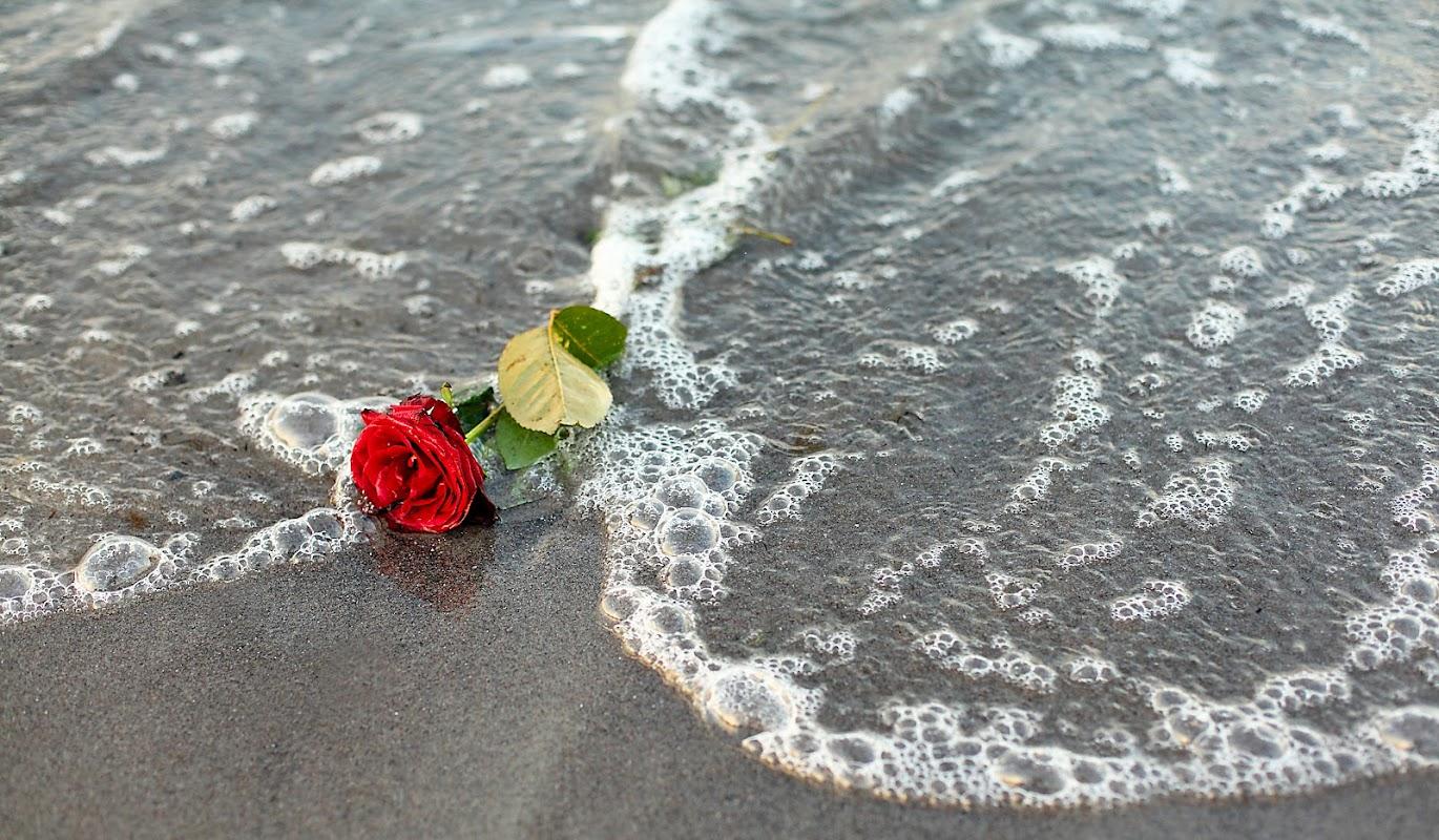 Coastal Cremation & Funeral Care in New Port Richey Florida