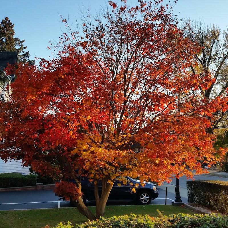 Curry & Giordano Funeral Home Inc in Peekskill New York