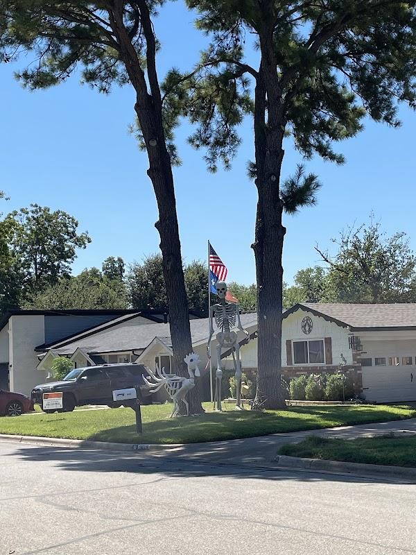 Dee M Susan in Concord Massachusetts