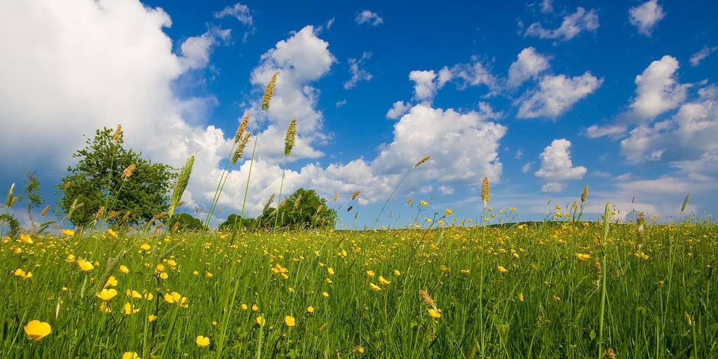 DeJohn Funeral Homes & Crematory in Chardon Ohio