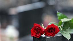 Di Chiara Funeral Home in Lodi New Jersey