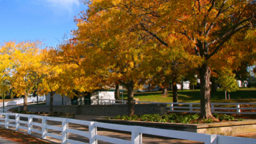 Dyer Funeral Home in Cookeville Tennessee