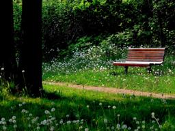 Ellinger-Kunz & Park Funeral Home building in Springfield, Illinois