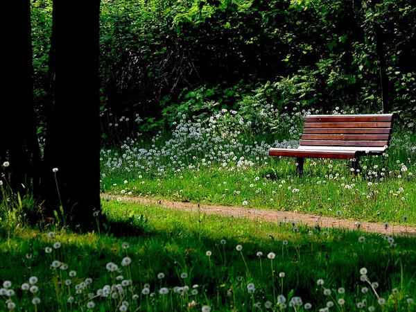 Ellinger-Kunz & Park Funeral Home building in Springfield, Illinois