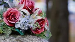 Elmont Funeral Home Inc in Elmont New York