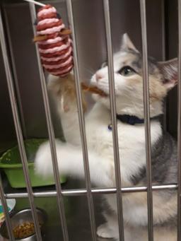 Fairmont Funeral Home LTD in Pasadena Texas