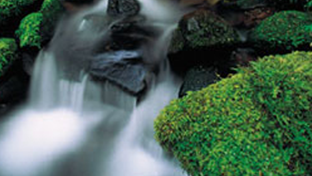 Falls Funeral Home and Cremation Center in Wichita Falls Texas