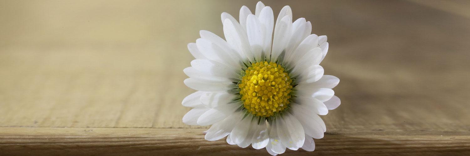 Farkas Funeral Home building in Joliet, Illinois