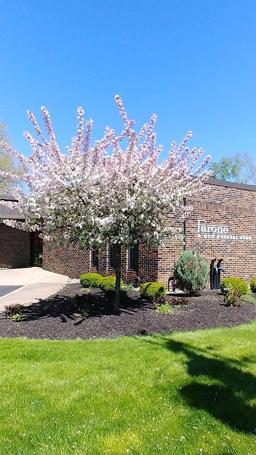 Farone And Son Funeral Home in Syracuse New York