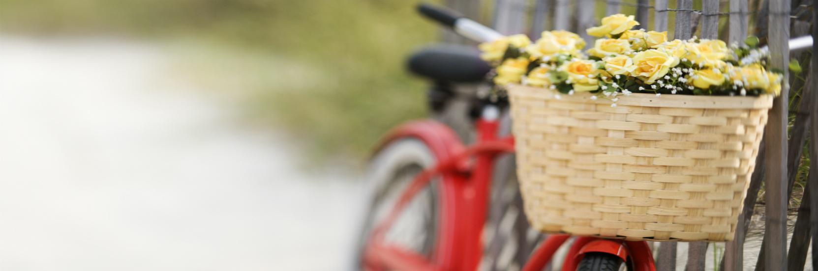 Farrell'S Funeral Service Inc in Auburn New York