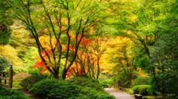 Fiocchi-Jensen Funeral Home building in Princeton, Illinois