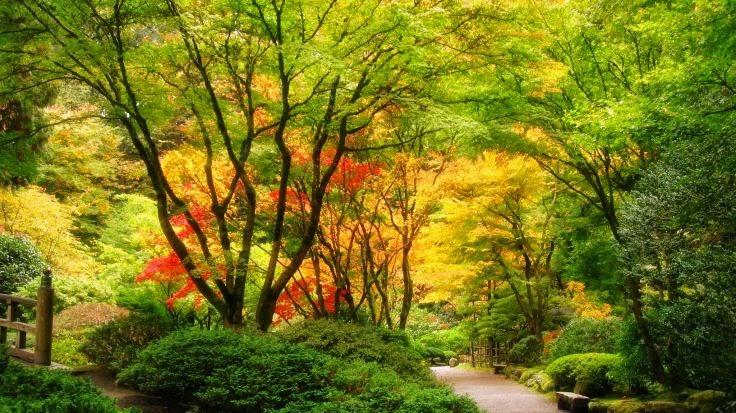 Fiocchi-Jensen Funeral Home building in Princeton, Illinois