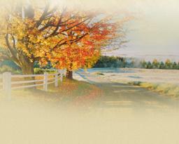 Gallagher Funeral Home & Cremation Services in Oconto Wisconsin