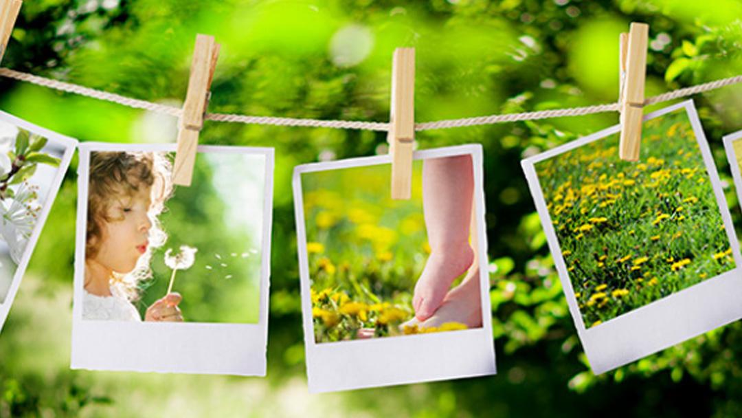 Hamilton Mill Memorial Chapel & Gardens in Buford Georgia