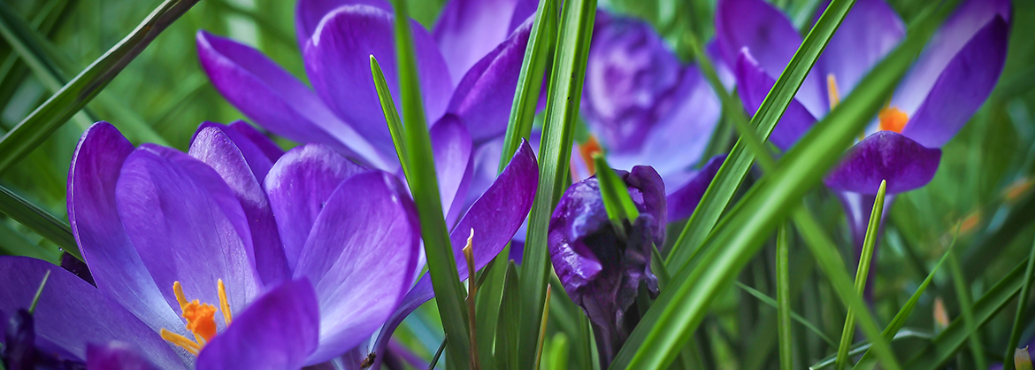 Hart & Bruce Funeral Home in Watertown New York