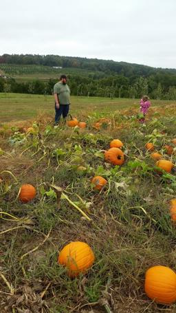 Hickcox Funeral Home in Bethlehem Connecticut