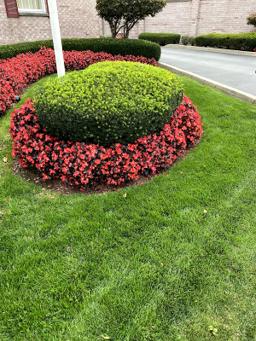 J A Mccormack Sons Funeral Home Inc in Binghamton New York