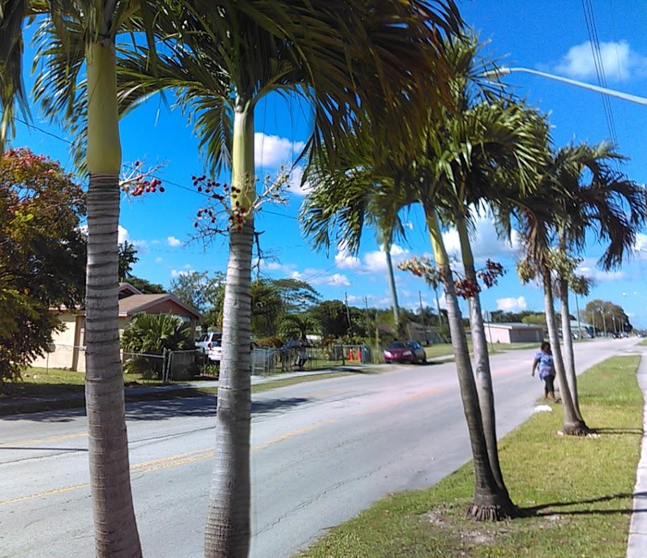 Jay-Johnson Funeral Home in Homestead Florida