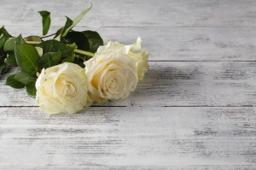 Johnston Funeral Home building in Ina, Illinois