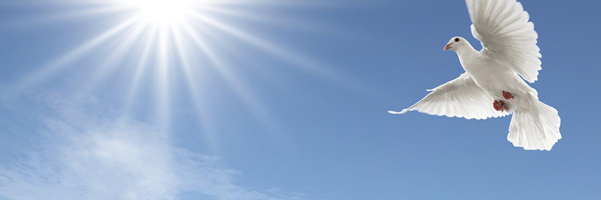 Kenosha Funeral Services & Crematory building in Kenosha, Wisconsin