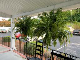 Kistler-Hardee Funeral Home in Darlington South Carolina