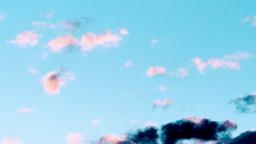 Lees Funeral Home Llc in White Plains New York