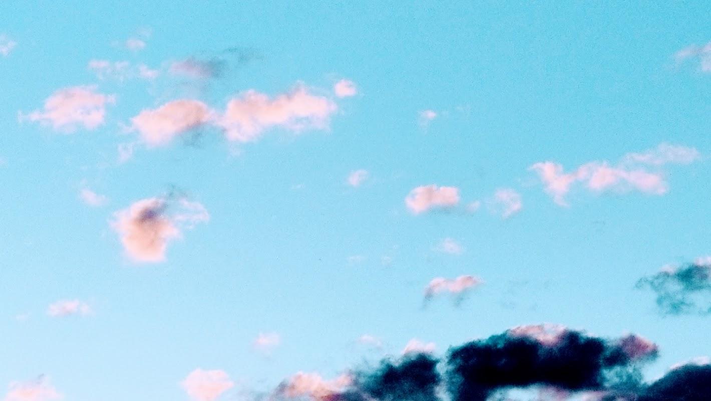 Lees Funeral Home Llc in White Plains New York