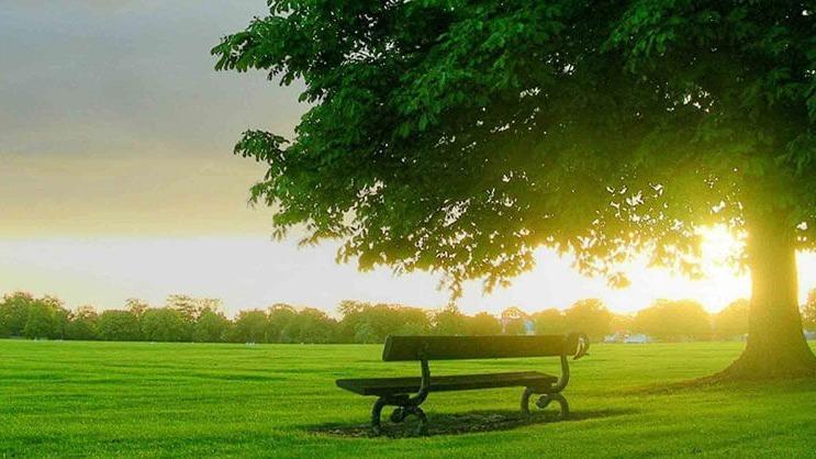 Max Brannon & Sons Funeral Home in Calhoun Georgia