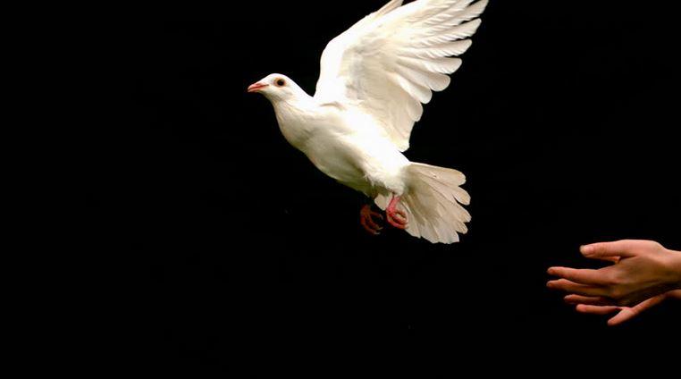 Mile High Mortuary & Cremation Service in Denver Colorado