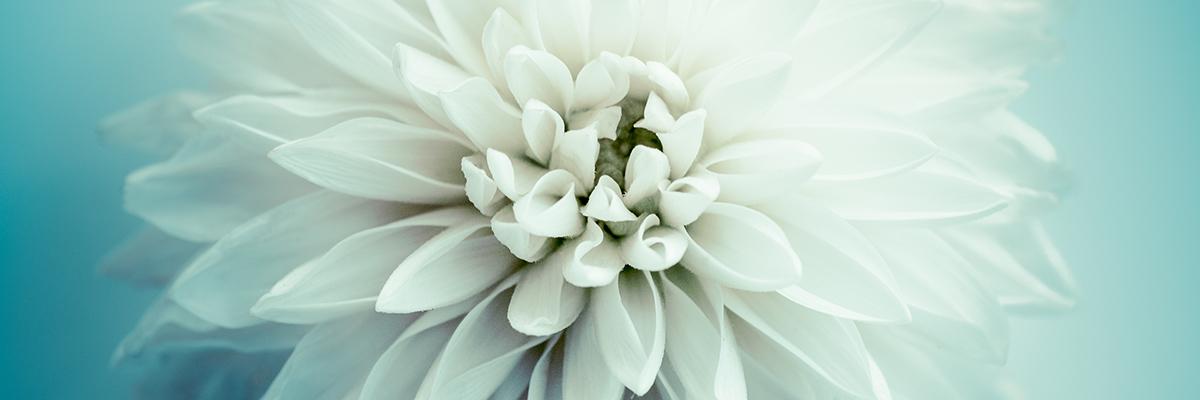 M.J.R. Friendly Service Funeral Home building in Denham Springs, Louisiana