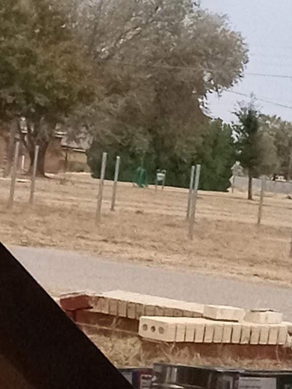 Parson-Ellis Funeral Home in Earth Texas