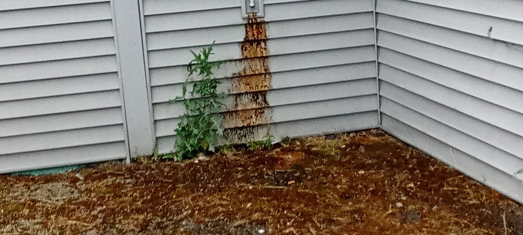Personal Alternative Funeral Services building in Kent, Washington