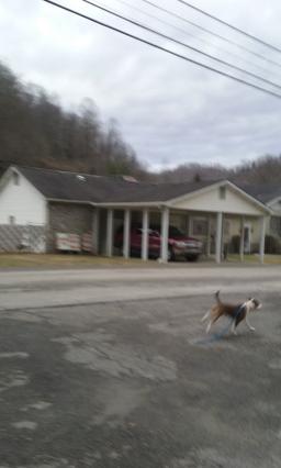 Phelps Funeral Services building in Phelps, Kentucky