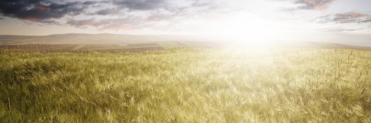 R.E. Rogers Funeral Home in Belfry Kentucky