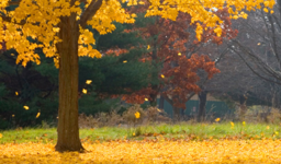 Reed & Benoit Funeral Home Inc in Watertown New York