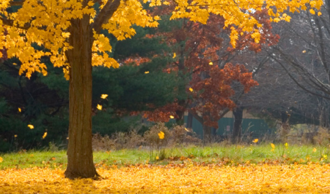 Reed & Benoit Funeral Home Inc in Watertown New York
