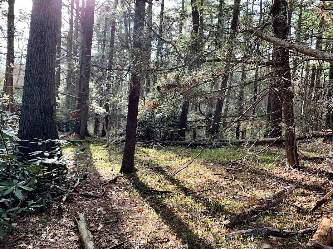 Roberts And Sons Funeral Home in Foxboro Massachusetts